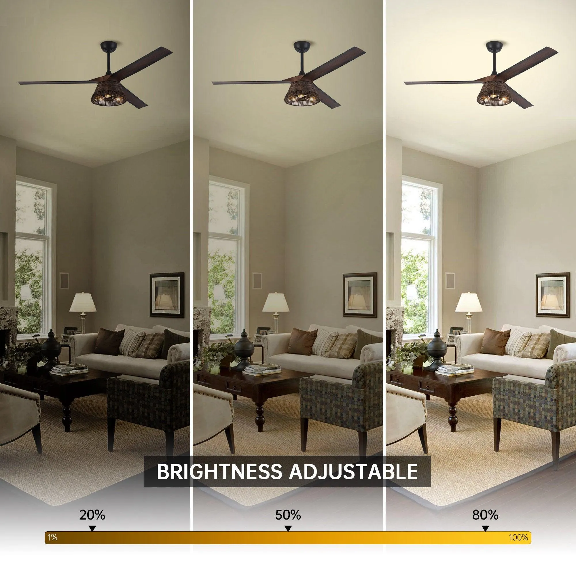 60" Farmhouse Downrod Mount Reversible Ceiling Fan with Lighting and Remote Control