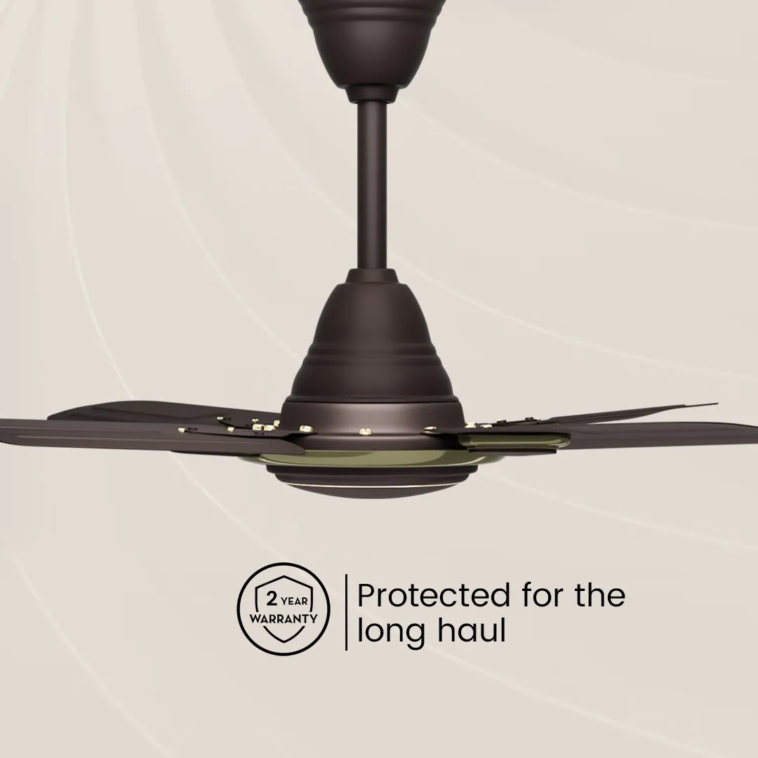 Crompton Surebreeze Super Briz Deco | Ceiling Fan