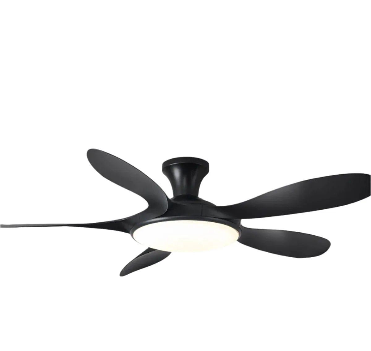 Fisher | Lighted Ceiling Fan