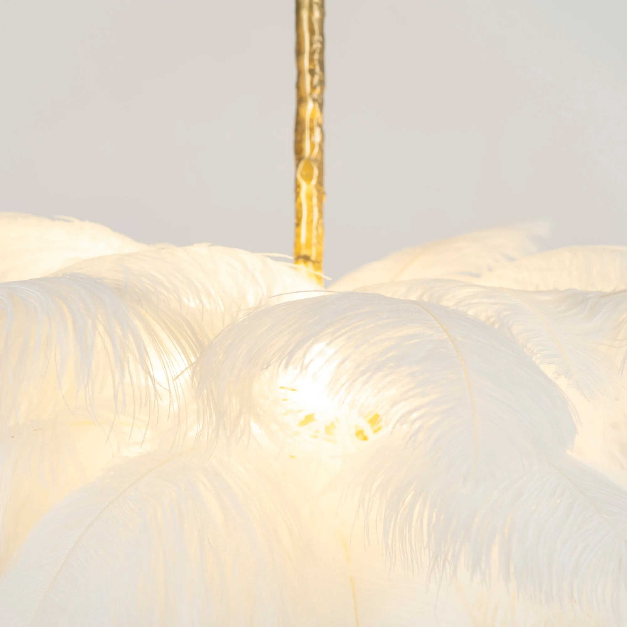 Ostrich Feather Chandeliers