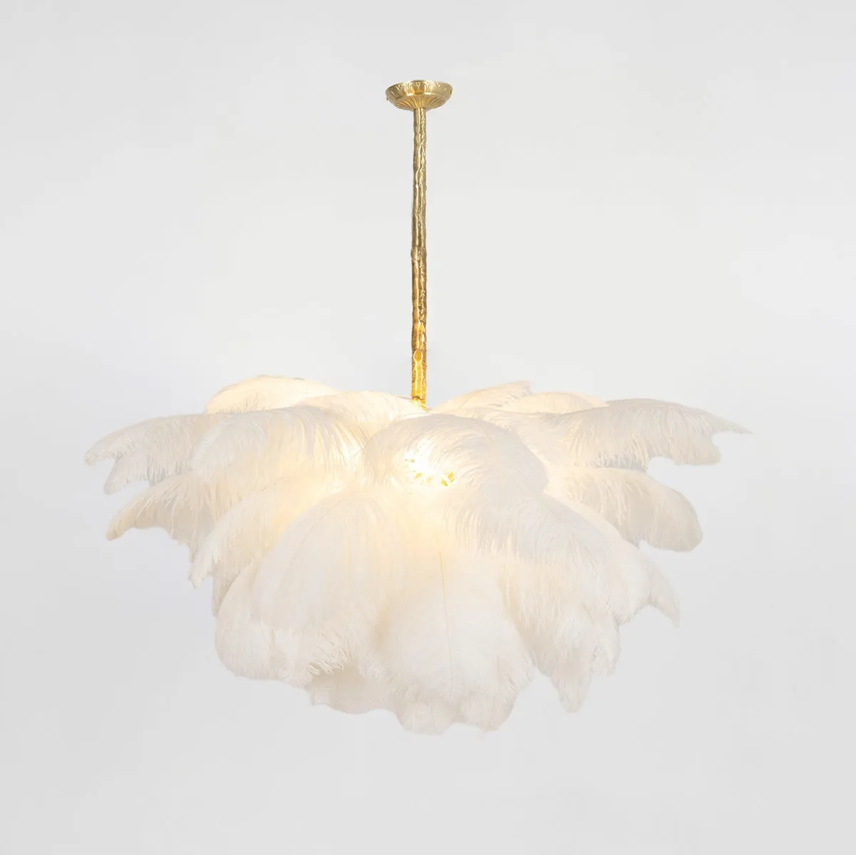 Ostrich Feather Chandeliers