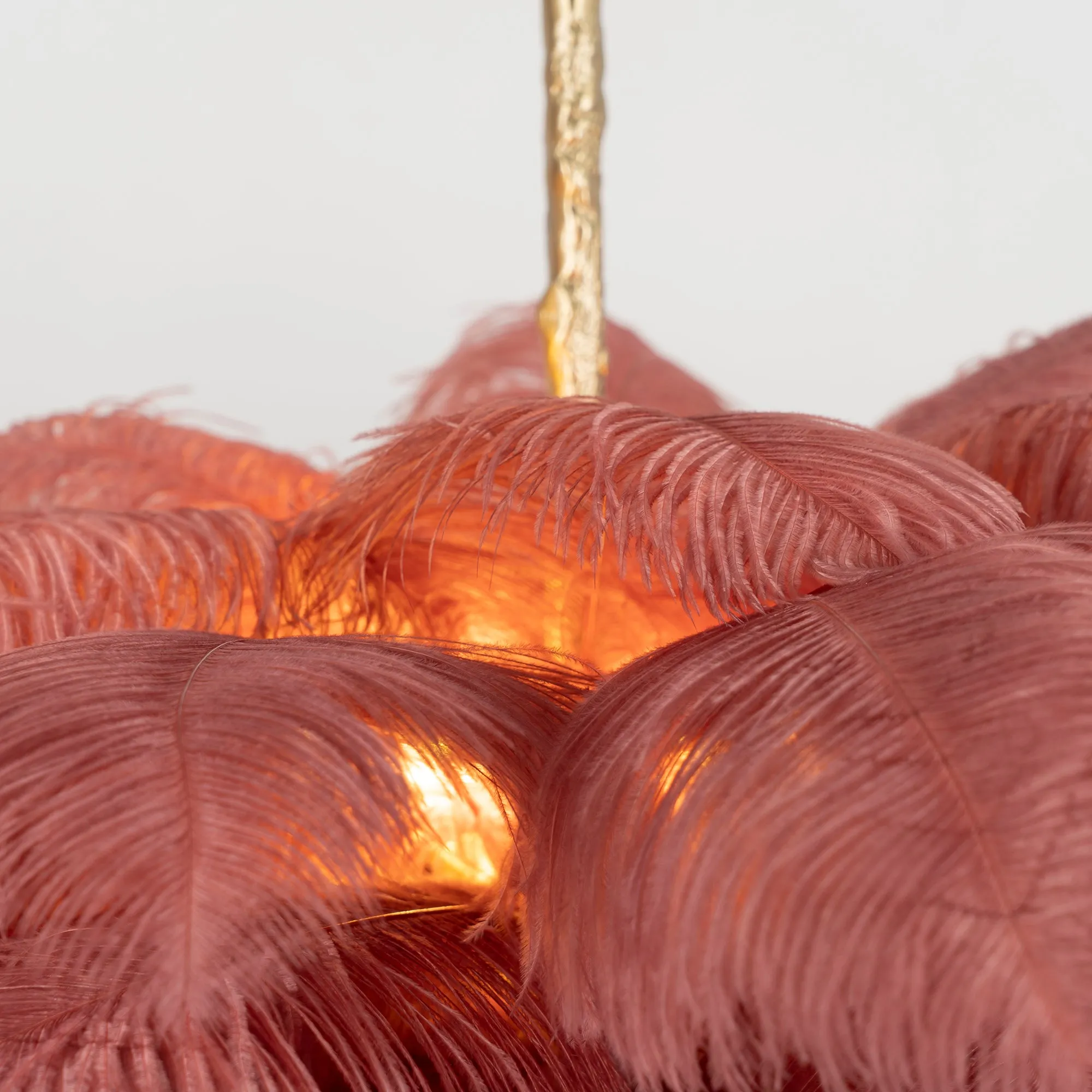 Ostrich Feather Chandeliers