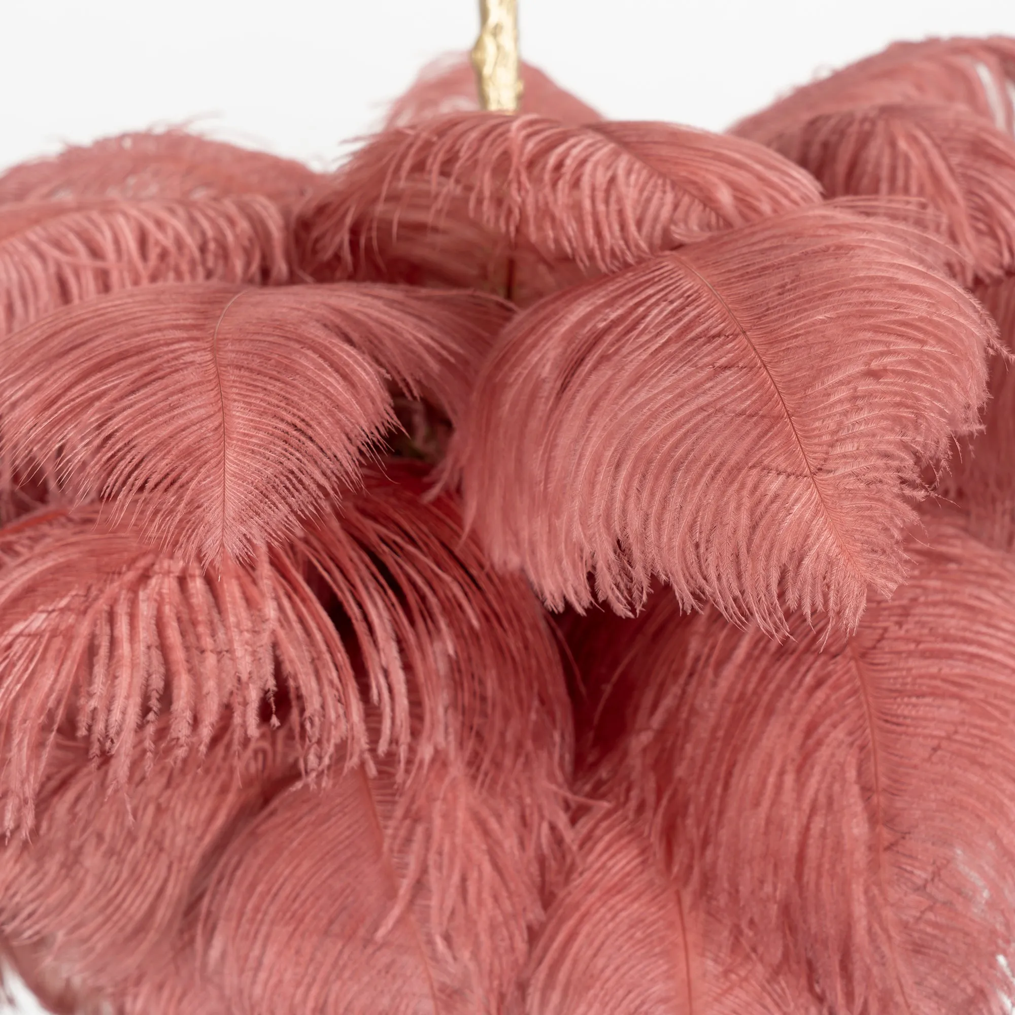 Ostrich Feather Chandeliers