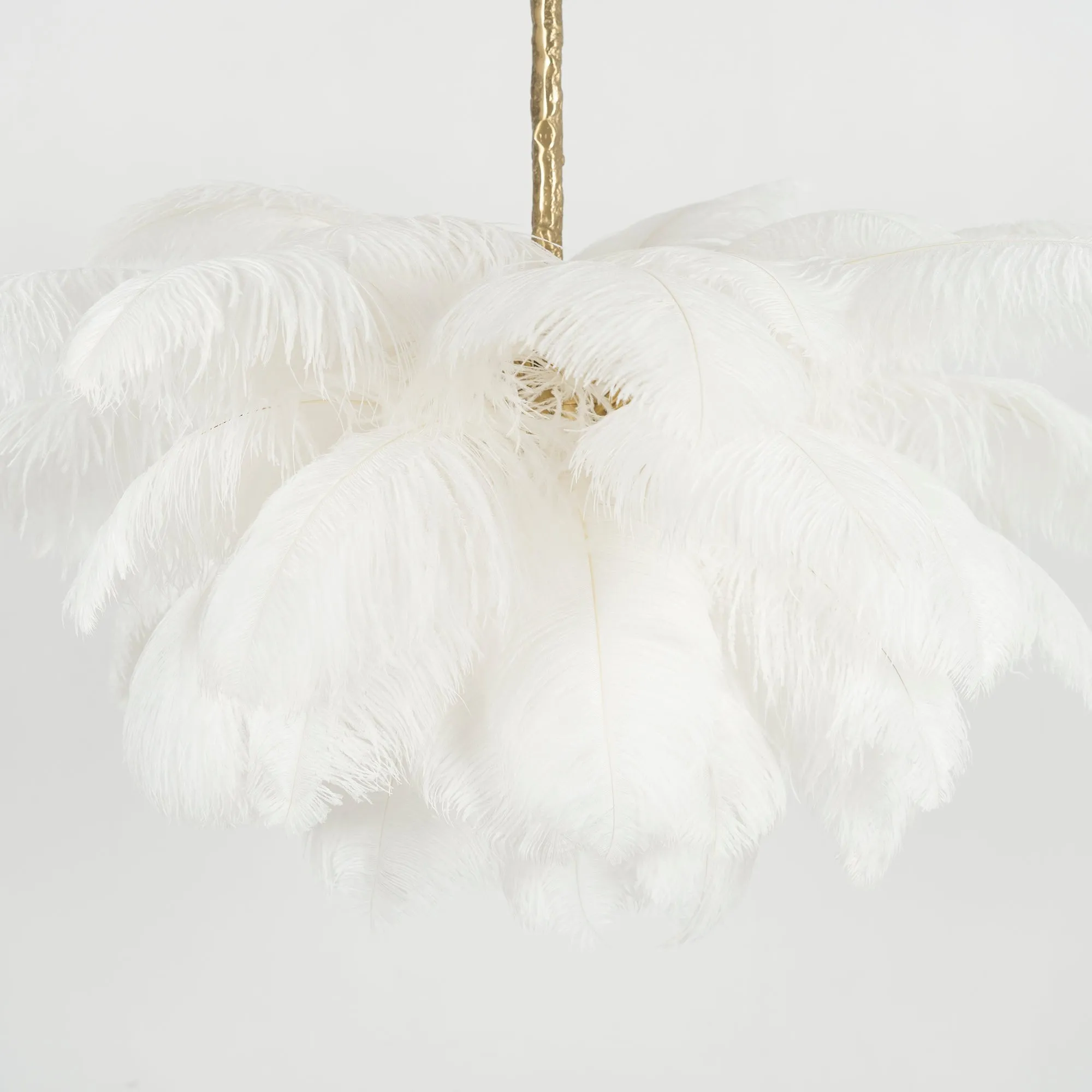 Ostrich Feather Chandeliers