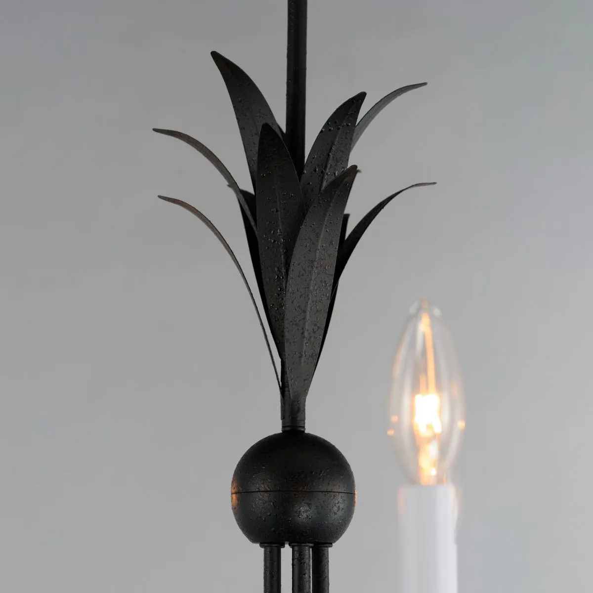 Paloma 26 in. 5 Lights Chandelier Black Finish