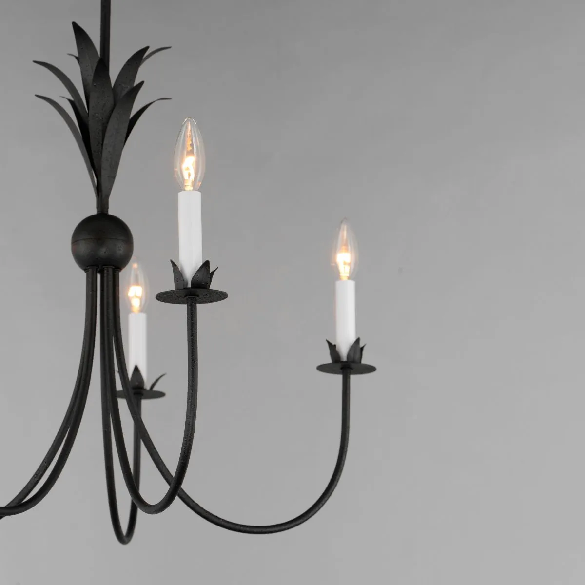 Paloma 26 in. 5 Lights Chandelier Black Finish