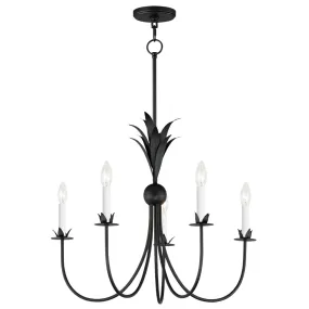 Paloma 26 in. 5 Lights Chandelier Black Finish