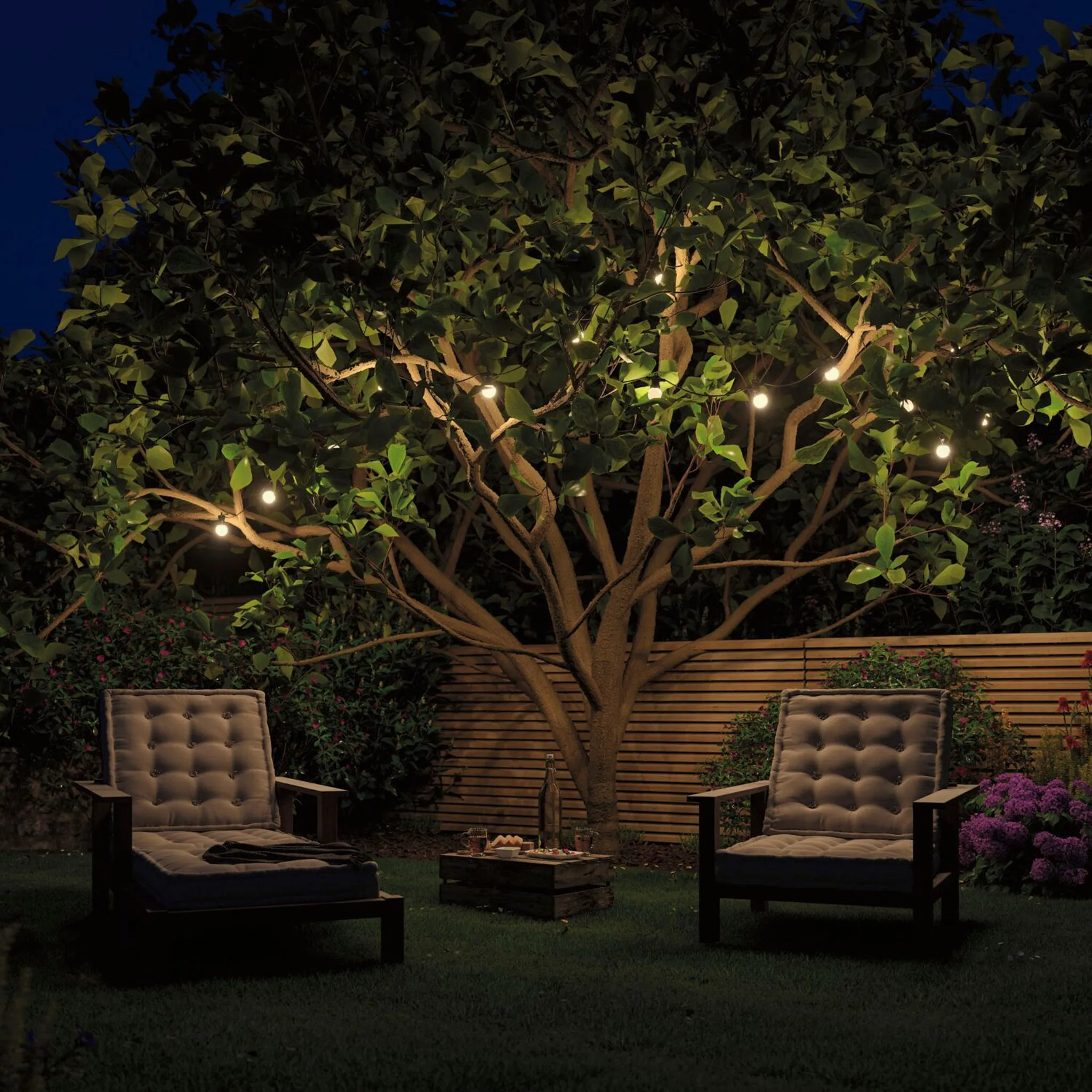 Plug & Shine Outdoor 1.5W LED Fairy Lights in Anthracite