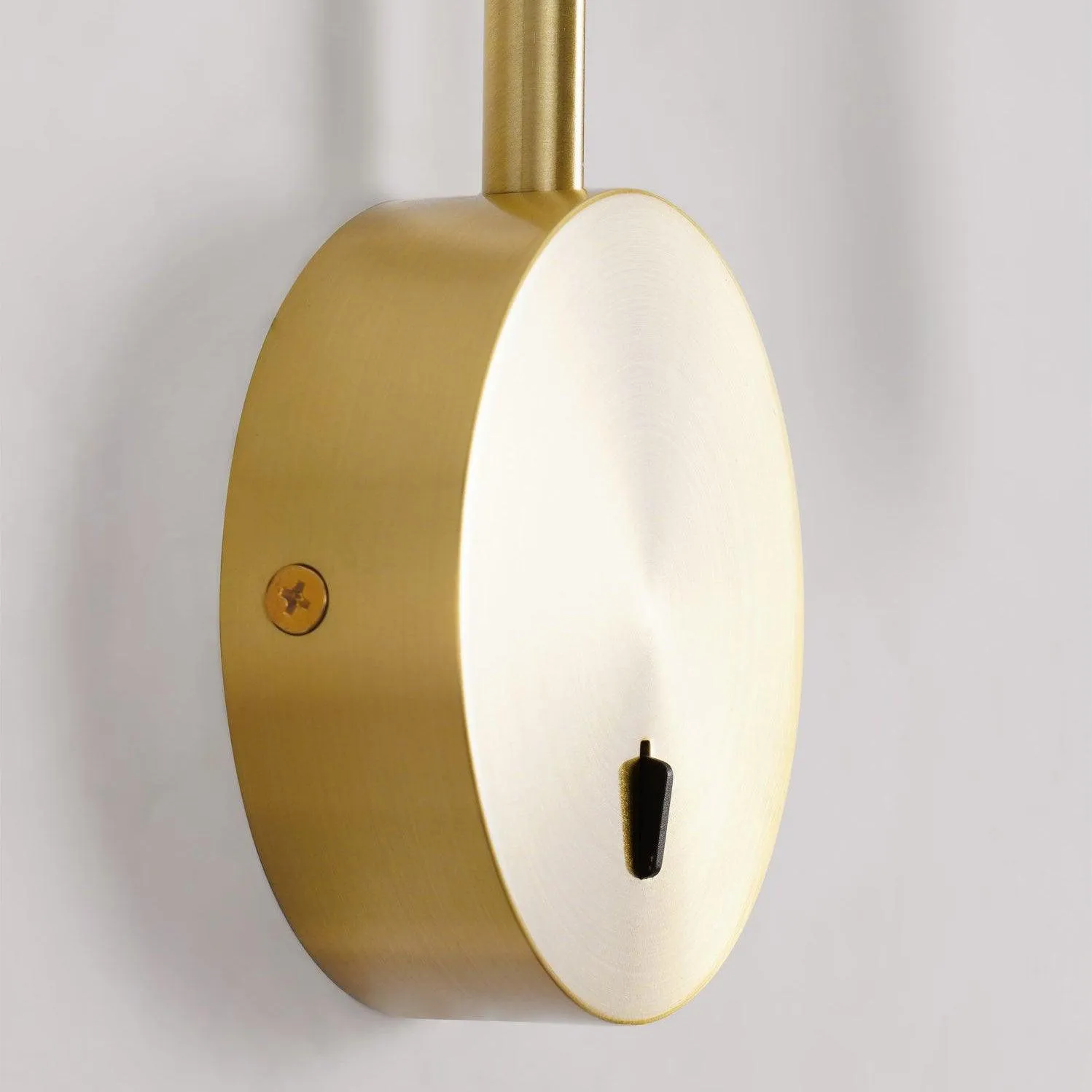 Rizo Reading Plug In Wall Lamp