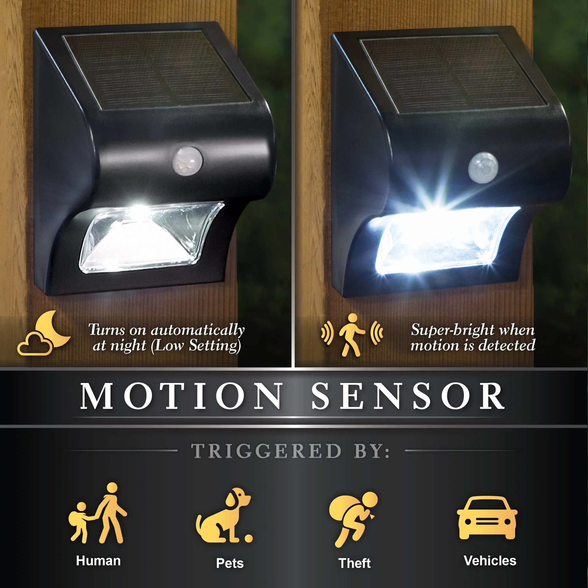 Solar Motion Sensor Deck & Wall Light