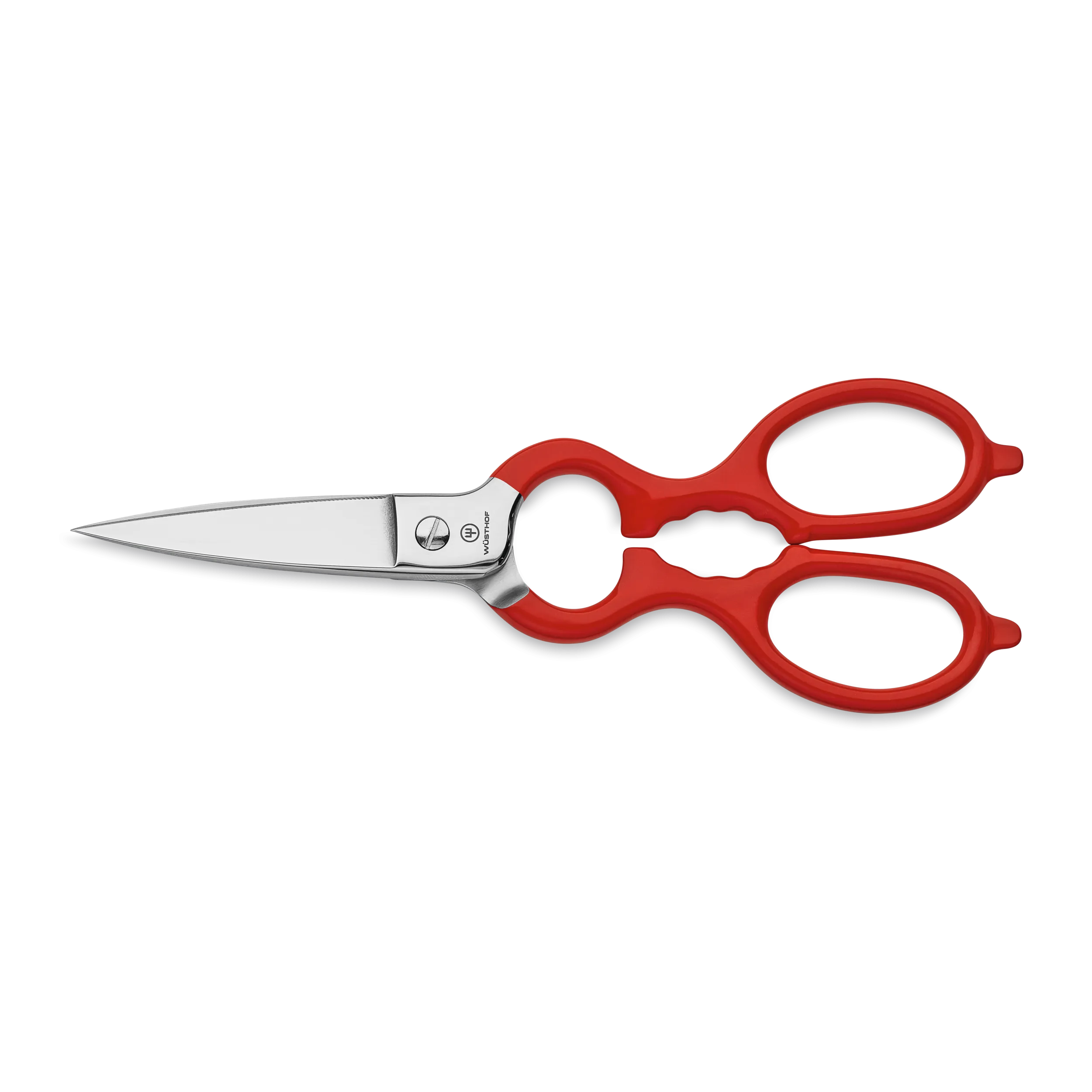 Stainless Kitchen Shears with Synthetic Grips