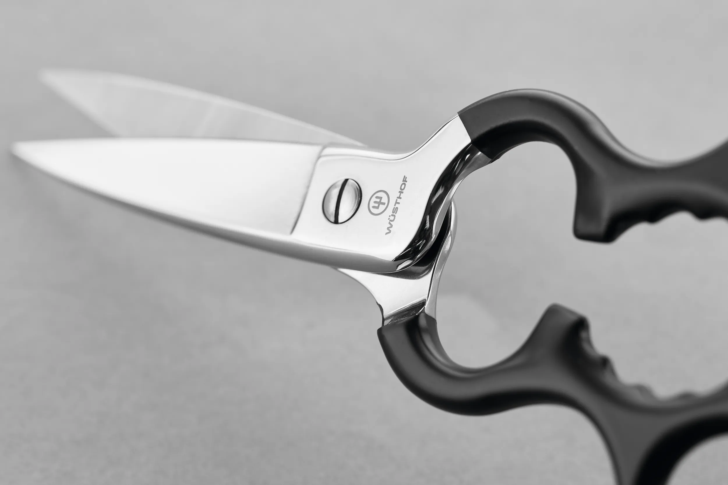 Stainless Kitchen Shears with Synthetic Grips