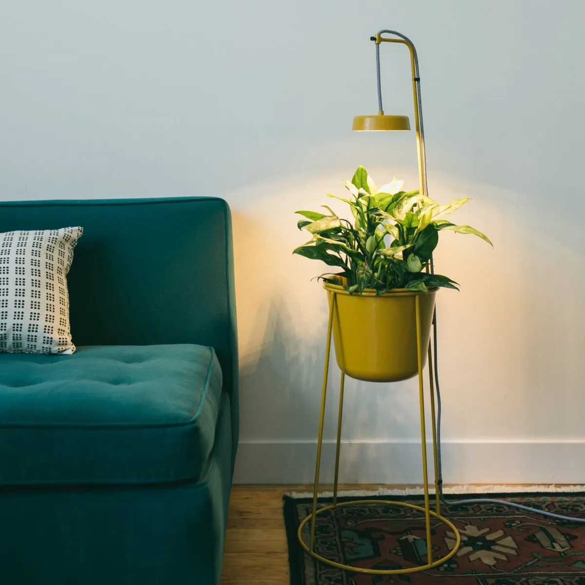 Uplift Planter By Modern Sprout