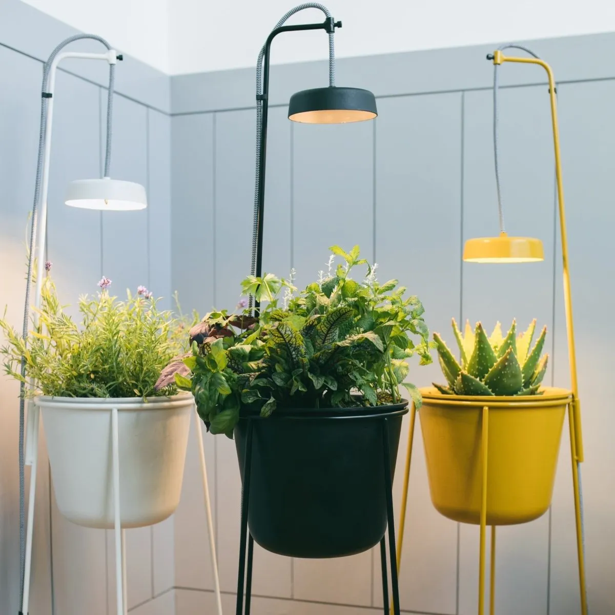 Uplift Planter By Modern Sprout